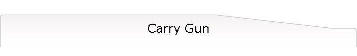 Carry Gun