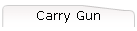 Carry Gun