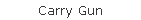 Carry Gun