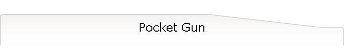 Pocket Gun